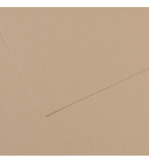 Foglio Mi-Teintes - A4 - 160 gr - grigio trianon - Canson Foglio Mi-Teintes - A4 - 160 gr - grigio trianon - Canson