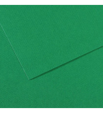 Foglio Mi-Teintes - A4 - 160 gr - verde biliardo - Canson