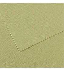 Foglio Mi-Teintes - A4 - 160 gr - verde mandorla - Canson