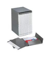 Gruppo Delso Line - 12 cartelle 2 lembi - con custodia - 32x25 cm -  dorso 1,5 cm - Esselte