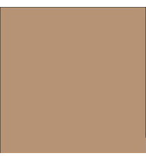 Cartine antigrasso per alimenti - 33 x 32,5 cm - avana - Leone - conf. 500 pezzi Cartine antigrasso per alimenti - 33 x 32,5 cm - avana - Leone - conf. 500 pezzi