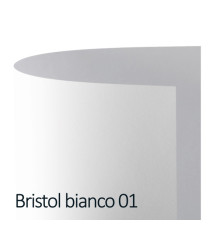 Cartoncino Bristol Color - 50 x 70 cm - 200 gr - bianco 01 - Favini - conf. 25 pezzi