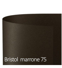 Cartoncino Bristol Color - 70 x 100 cm - 200 gr - marrone 75 - Favini - conf. 10 pezzi