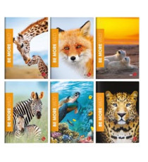 Maxiquaderno Be More Wild - A4 - 36+2 fogli - 100gr - rigo di 3a - BM Maxiquaderno Be More Wild - A4 - 36+2 fogli - 100gr - rigo di 3a - BM
