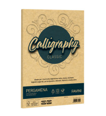 Carta Calligraphy Pergamena - A4 - 90 gr - oro 03 - Favini - conf. 50 fogli Carta Calligraphy Pergamena - A4 - 90 gr - oro 03 - Favini - conf. 50 fogli