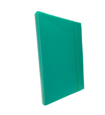 Cartella progetto con elastico - 24 x 35 cm - dorso 3 cm - verde - Fellowes