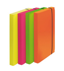 Cartella progetto Shocking File - con elastico - 24 x 35 cm - colori fluo assortiti - Fellowes