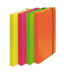 Cartella progetto Shocking File - con elastico - 24x35 cm - colori fluo assortiti - Fellowes Cartella progetto Shocking File - con elastico - 24x35 cm - colori fluo assortiti - Fellowes