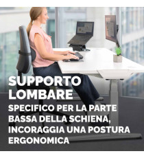 Cuscino Lombare Breyta - 17 x 35 x 6 cm - in tessuto - nero - Fellowes Cuscino Lombare Breyta - 17 x 35 x 6 cm - in tessuto - nero - Fellowes
