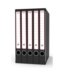 Gruppo registratori Quintetto - con 5 cartelle 3 lembi - 23x32 cm - dorso 23 cm - grigio - Rexel Gruppo registratori Quintetto - con 5 cartelle 3 lembi - 23x32 cm - dorso 23 cm - grigio - Rexel