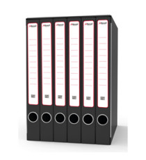 Gruppo registratori Sestetto - con 6 cartelle 3 lembi - 25,5x34,5 cm - dorso 23 cm - grigio - Rexel Gruppo registratori Sestetto - con 6 cartelle 3 lembi - 25,5x34,5 cm - dorso 23 cm - grigio - Rexel