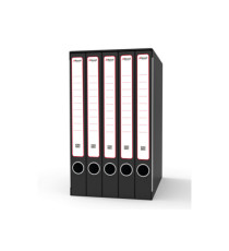 Gruppo registratori Sestetto - con 6 cartelle ad anelli - 25,5x34,5 cm - dorso 23 cm - grigio - Rexel Gruppo registratori Sestetto - con 6 cartelle ad anelli - 25,5x34,5 cm - dorso 23 cm - grigio - Rexel