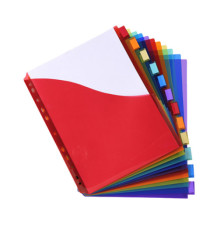 Divisori neutri a 12 tacche - PP - A4 maxi - con portaetichetta - colori assortiti - Exacompta Divisori neutri a 12 tacche - PP - A4 maxi - con portaetichetta - colori assortiti - Exacompta