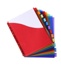 Divisori neutri a 12 tacche - PP - A4 maxi - con portaetichetta - colori assortiti - Exacompta Divisori neutri a 12 tacche - PP - A4 maxi - con portaetichetta - colori assortiti - Exacompta