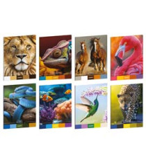 Maxiquaderno Animal Palette - A4 - rigo di 1a - 21 fogli - 80 gr - Blasetti Maxiquaderno Animal Palette - A4 - rigo di 1a - 21 fogli - 80 gr - Blasetti