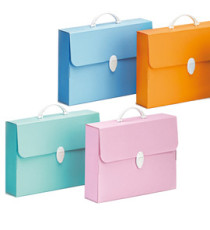 Valigetta Polionda Every Line Pastel - 27x37,5 cm - dorso 8 cm - Favorit Valigetta Polionda Every Line Pastel - 27x37,5 cm - dorso 8 cm - Favorit