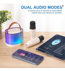 Altoparlante speaker bluetooth 5.2 5W karaoke con 2 microfon1, casse stile retrò, ricarica usb-c, autonomia 12 ore, fino a 10mt