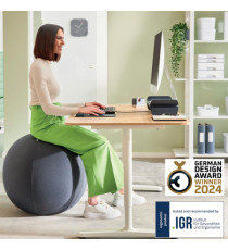 Palla Ergo Active - da seduta - 65 cm - grigio scuro - Leitz Palla Ergo Active - da seduta - 65 cm - grigio scuro - Leitz