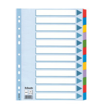 Intercalare Mylar -12 tasti colorati - A4 - Esselte