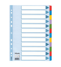 Intercalare Mylar -12 tasti colorati - A4 - Esselte