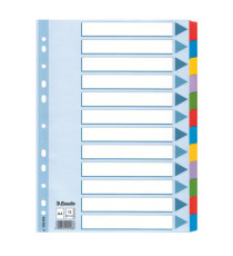 Intercalare Mylar -12 tasti colorati - A4 - Esselte
