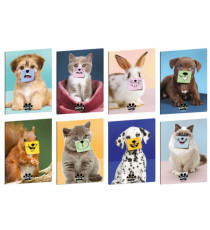 Maxiquaderno Pets-IT - A4 - 4mm c/margine - 21 fogli - 80 gr - Blasetti Maxiquaderno Pets-IT - A4 - 4mm c/margine - 21 fogli - 80 gr - Blasetti