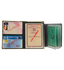 Portadocumenti - multicard special - PVC - colori assortiti 1060S - Alplast - conf. 24 pezzi