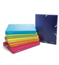 Cartella con elastico - PPL - colori assortiti - dorso 30 mm - Colorosa