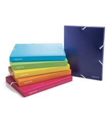 Cartella con elastico - PPL - colori assortiti - dorso 30 mm - Colorosa