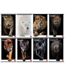 Maxiquaderno Animal - A4 - 1 rigo - 42 fogli - 80 gr - Pigna Maxiquaderno Animal - A4 - 1 rigo - 42 fogli - 80 gr - Pigna