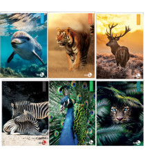 Maxiquaderno Animal fantasia - A4 - 40+2 fogli - 80gr - 5mm - BM Maxiquaderno Animal fantasia - A4 - 40+2 fogli - 80gr - 5mm - BM