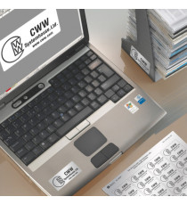 Etichette adesive L6133 - in poliestere - laser - permanenti - 70 x 37 mm - 24 et/fg - 20 fogli - argento - Avery