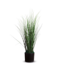 Pianta ornamentale - erba - H 55cm - Paperflow Pianta ornamentale - erba - H 55cm - Paperflow