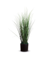 Pianta ornamentale - erba - H 55cm - Paperflow Pianta ornamentale - erba - H 55cm - Paperflow