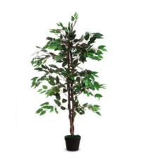 Pianta ornamentale - ficus - H 120cm - Paperflow Pianta ornamentale - ficus - H 120cm - Paperflow