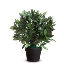 Pianta ornamentale - lauro - H 50cm - Paperflow Pianta ornamentale - lauro - H 50cm - Paperflow