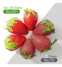 Lampadina led G120 20W attacco E27 2060 lumen 3000K luce calda misura D120xH157mm Equivale a 129w a incandescenza