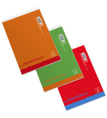 Blocco Colours - 5 mm - A5 - 60 gr - 60 fogli - Pigna
