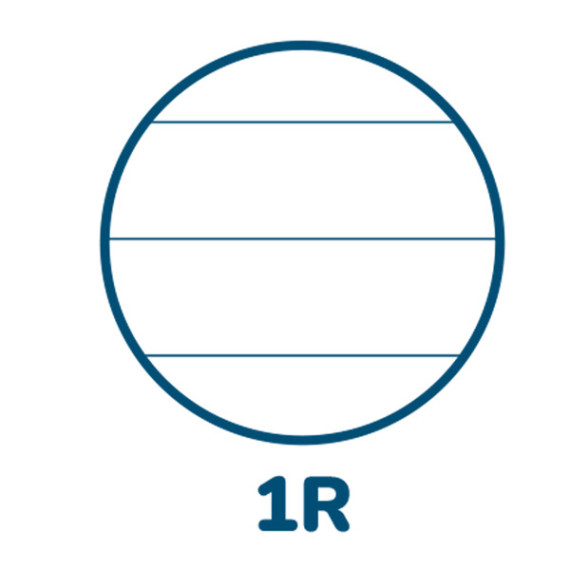 Maxiquaderno Pigna Colours - A4 - 1 rigo - 42 fogli - 80 gr - Pigna Maxiquaderno Pigna Colours - A4 - 1 rigo - 42 fogli - 80 gr - Pigna