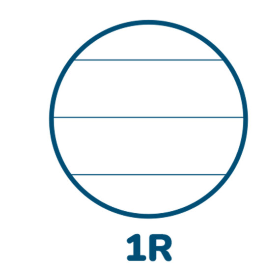 Maxiquaderno Pigna Colours - A4 - 1 rigo - 42 fogli - 80 gr - Pigna Maxiquaderno Pigna Colours - A4 - 1 rigo - 42 fogli - 80 gr - Pigna