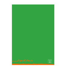 Maxiquaderno Pigna Colours - A4 - 1 rigo - c/margine - 42 fogli - 80 gr - Pigna Maxiquaderno Pigna Colours - A4 - 1 rigo - c/margine - 42 fogli - 80 gr - Pigna