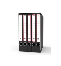 Gruppo registratori Sestetto - 23 x 33 cm - con 6 cartelle ad anelli - dorso 23 cm - grigio - Rexel