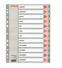 Separatore mensile Gen/Dic - PP - A4 - grigio - Esselte