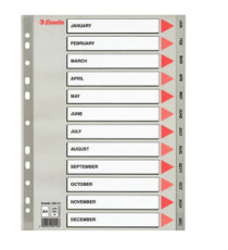 Separatore mensile Gen/Dic - PP - A4 - grigio - Esselte