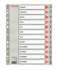 Separatore mensile Gen/Dic - PP - A4 - grigio - Esselte