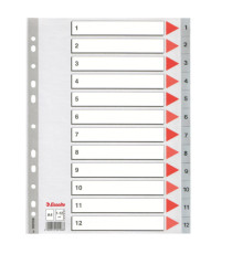 Separatore numerico 1/12 - PP - A4 - 22,5x29,7 cm - grigio - Esselte
