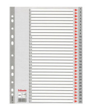 Separatore numerico 1/31 - PP - A4 - grigio - Esselte