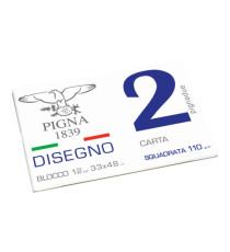 Album Pigna2 - 33 x 48 cm - 4 angoli - 20 fogli - 110 gr - liscio squadrato - Pigna