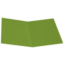 Cartellina semplice - 200 gr - A4 - cartoncino bristol - verde nilo - Starline - conf. 50 pezzi