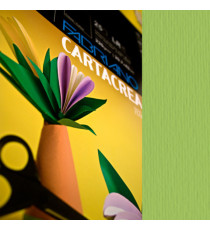 Cartoncino CartaCrea - 35 x 50 cm - 220 gr - verde pisello - Fabriano - blister 10 fogli